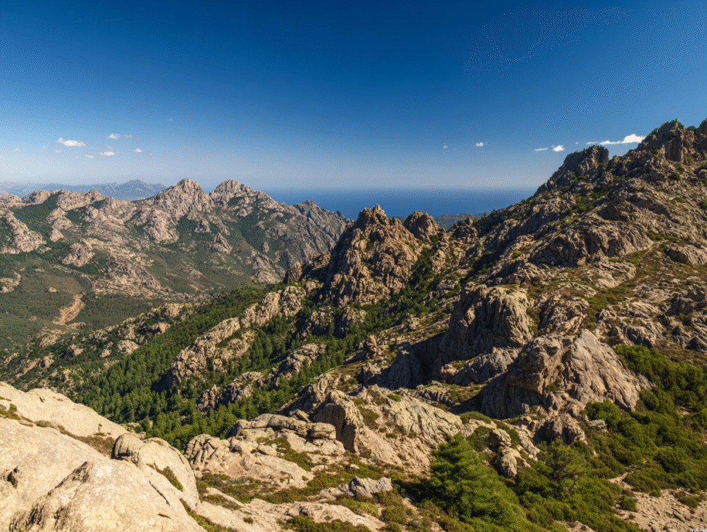 Location Pinarello : le luxe pieds dans l’eau en Corse‑du‑Sud